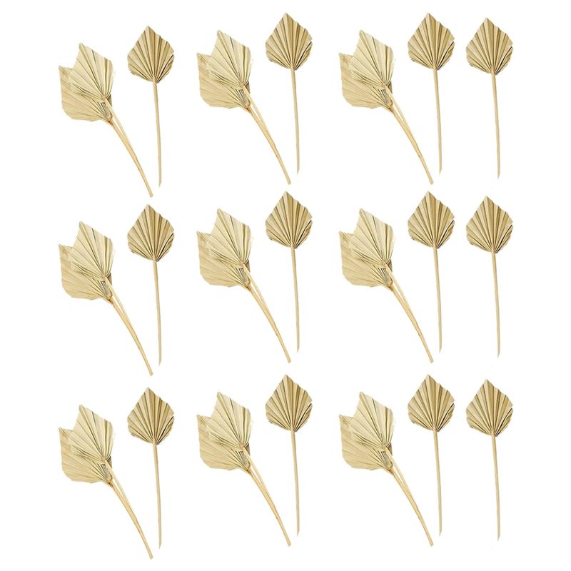 Palm Leaf Dried - AS60-30 Pièces de feuilles de palmier