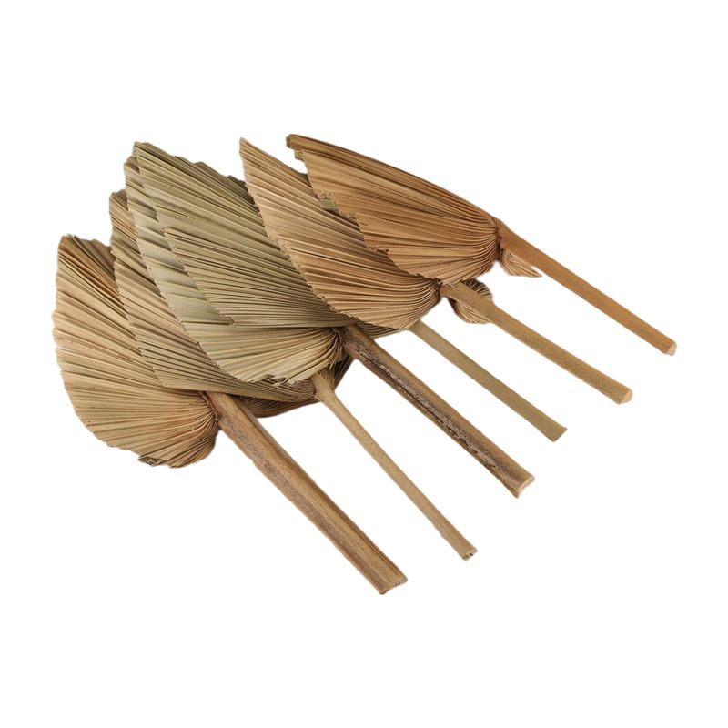 Palm Leaf Dried - ABKO-6PCS Feuilles de palmier séchées naturelles,