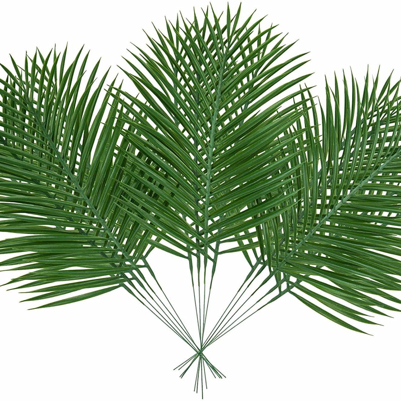 Feuilles de Palmier Artificiel - Palm Leaf Dried avis et prix