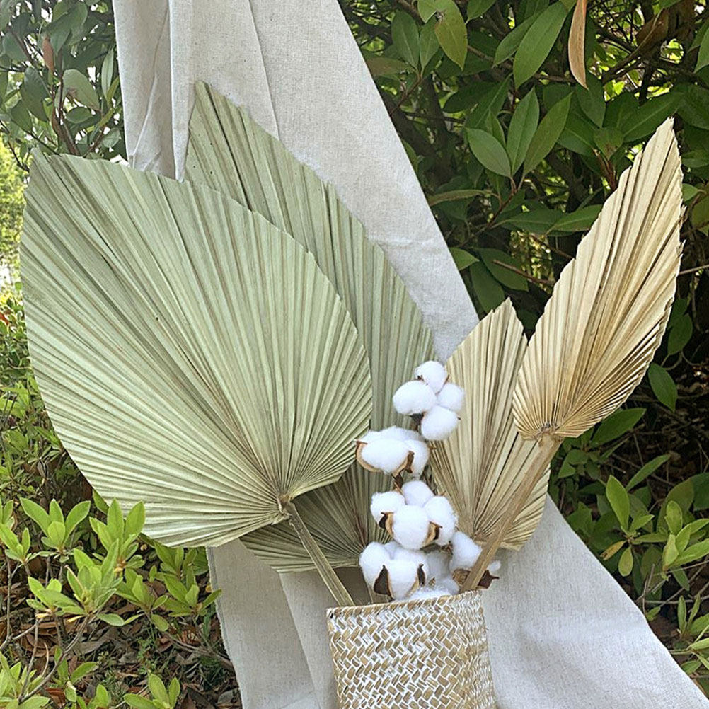 1 pièce de feuille de palmier  - Palm Leaf Dried avis et prix
