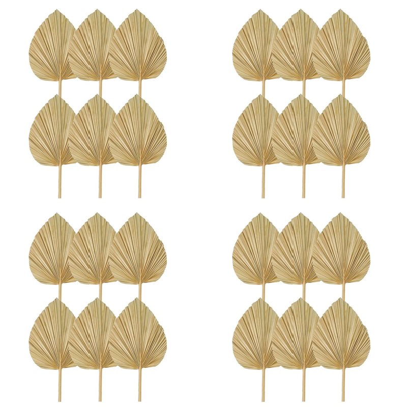 【NOËL】 24 feuilles de palmier  - Palm Leaf Dried avis et prix