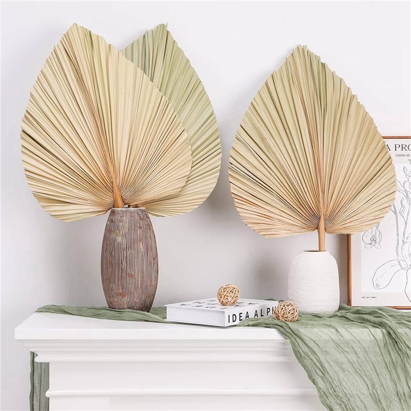 【NOËL】 24 feuilles de palmier  - Palm Leaf Dried avis et prix