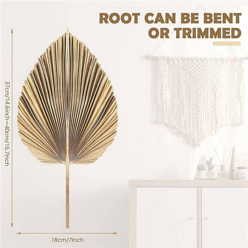 【NOËL】 24 feuilles de palmier  - Palm Leaf Dried avis et prix
