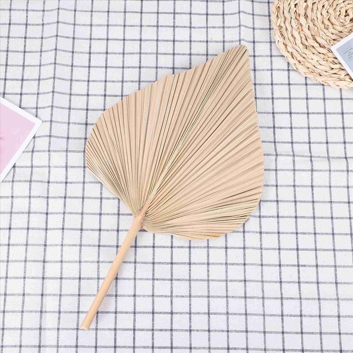 NOCM Feuilles de palmier séché - Palm Leaf Dried avis et prix