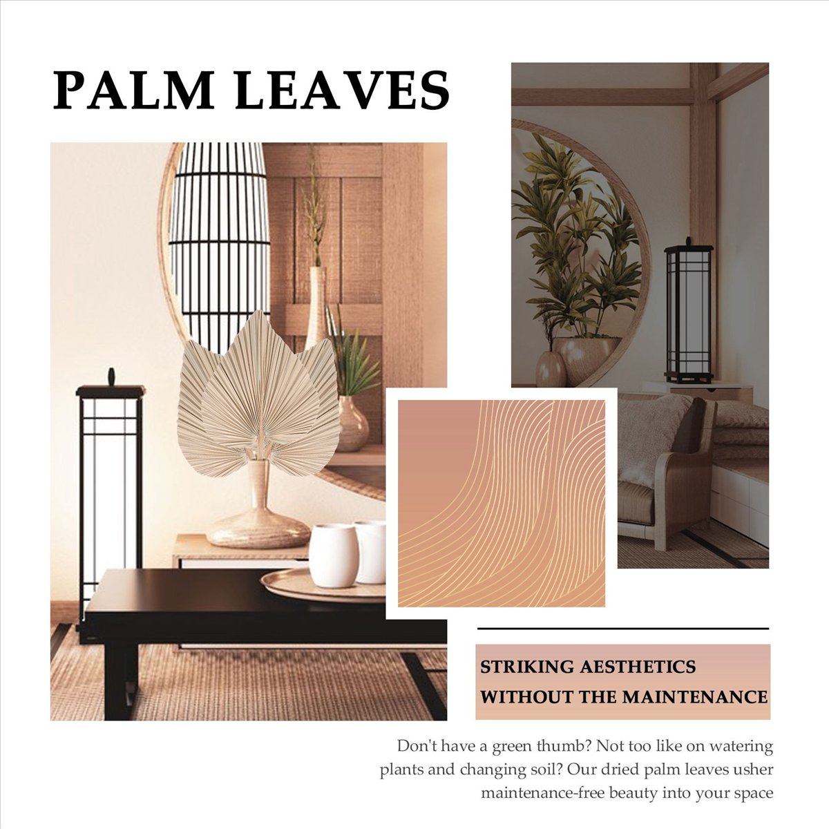 NOCM Feuilles de palmier séché - Palm Leaf Dried avis et prix