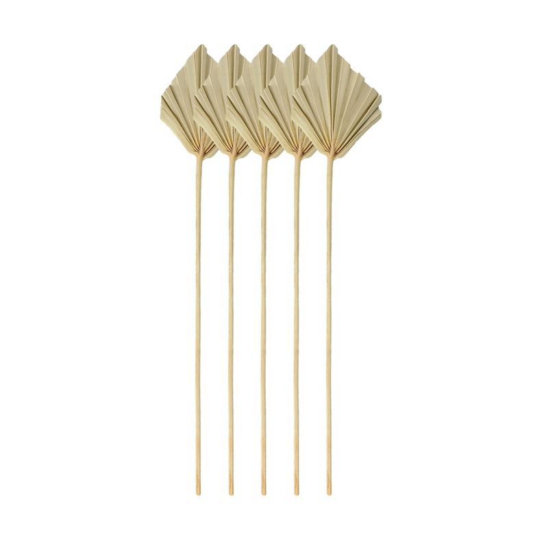 A67P-Boho Petites feuilles de  - Palm Leaf Dried avis et prix