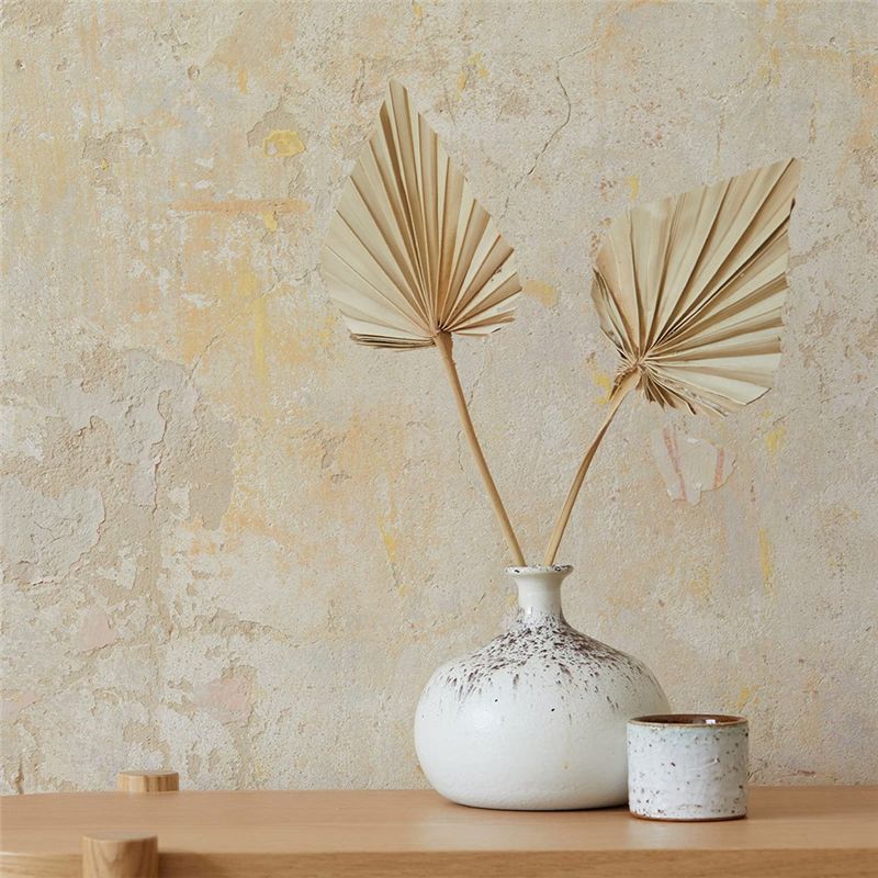 A67P-Boho Petites feuilles de  - Palm Leaf Dried avis et prix