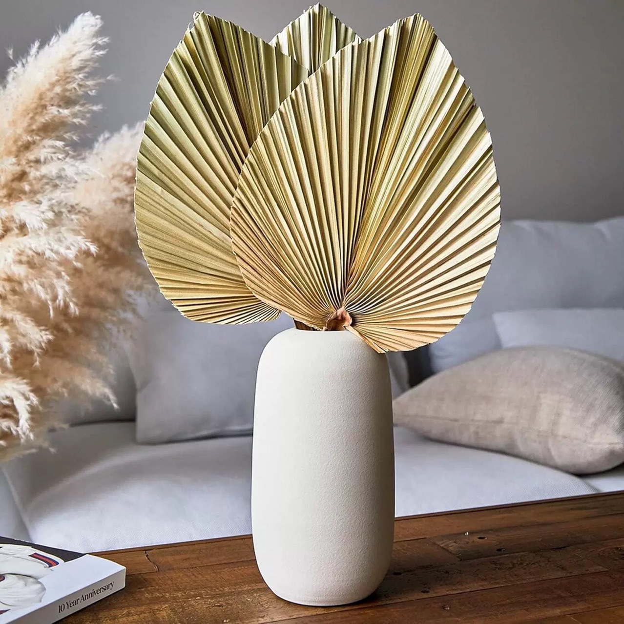3 feuilles de palmier séchées  - Palm Leaf Dried avis et prix