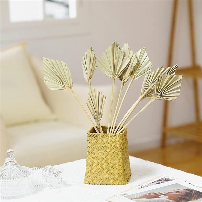 AS60-30 Pièces de feuilles de  - Palm Leaf Dried avis et prix