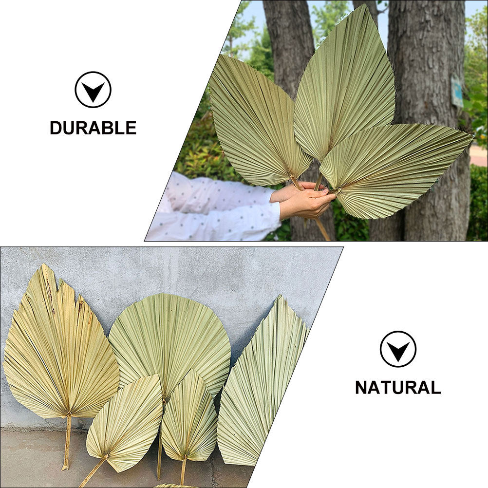 1 pièce de feuille de palmier  - Palm Leaf Dried avis et prix