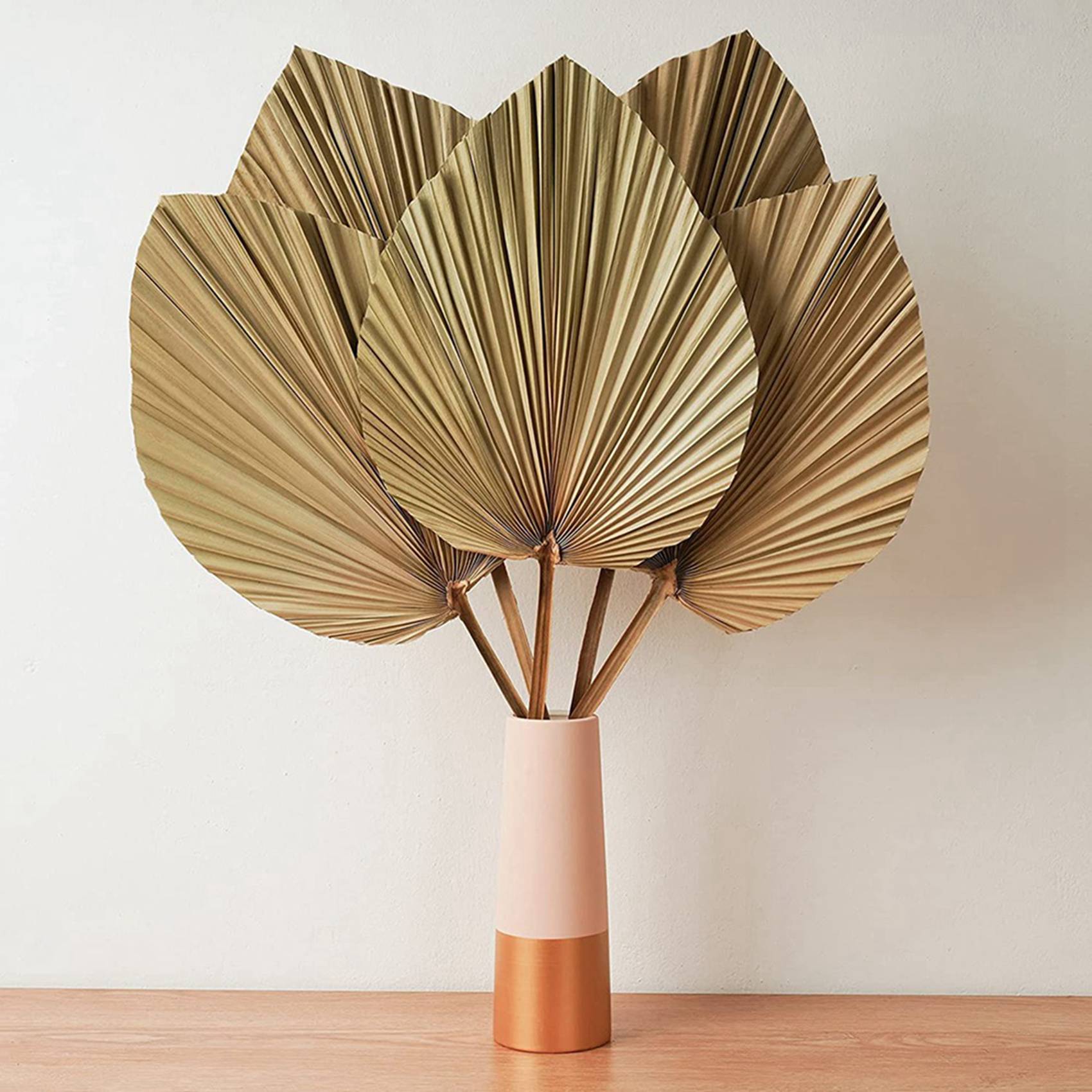 Feuilles de palmier séchées po - Palm Leaf Dried avis et prix