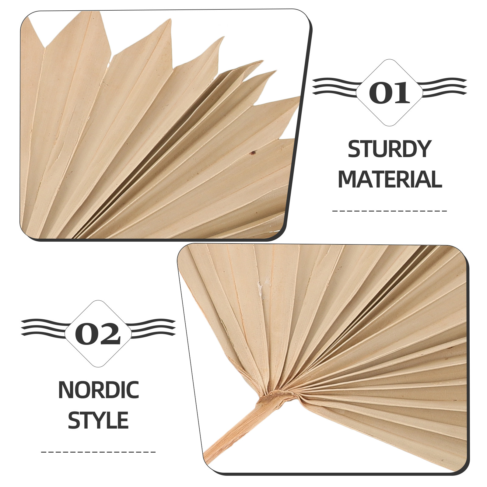 Lot de 4 feuilles de palmier s - Palm Leaf Dried avis et prix