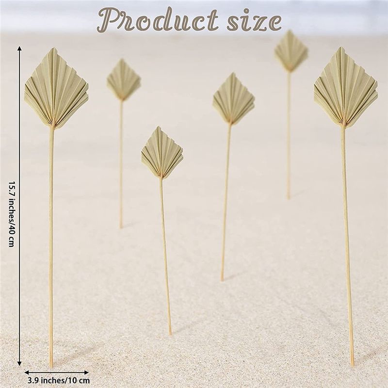 A36T-30 Pièces de feuilles de  - Palm Leaf Dried avis et prix