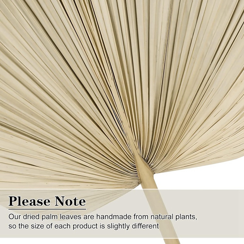 Nouveau 6 pièces feuilles de p - Palm Leaf Dried avis et prix