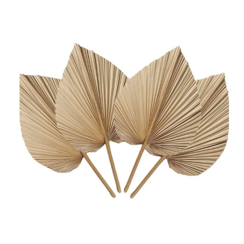 A27F-6Pcs Feuilles de palmier  - Palm Leaf Dried avis et prix