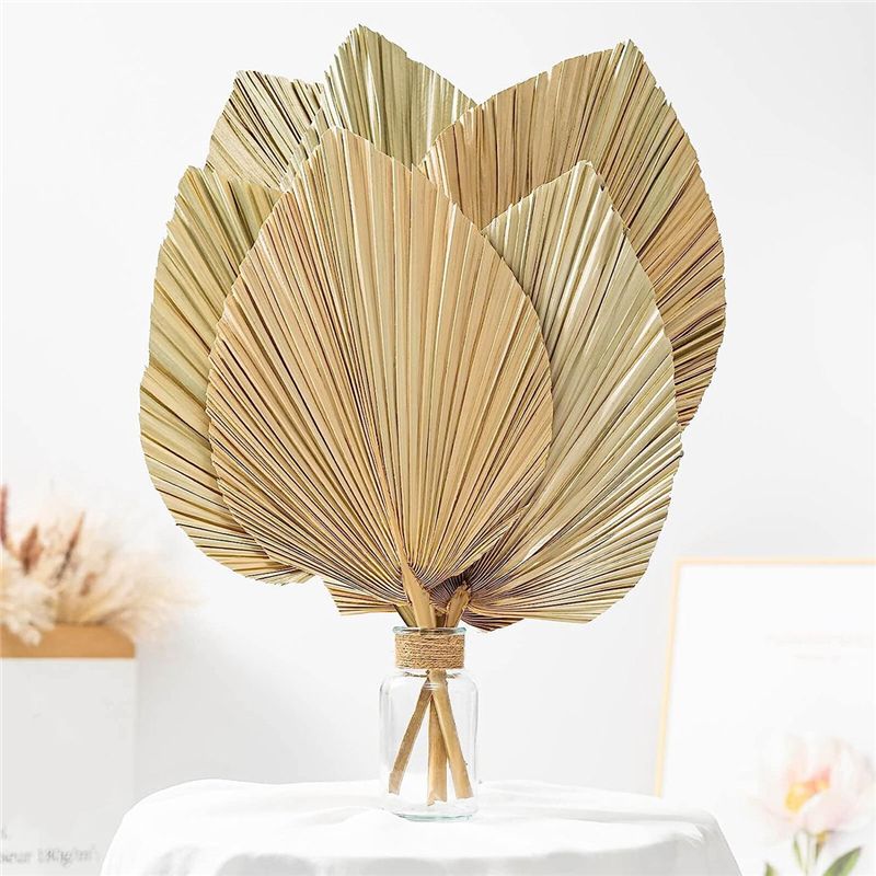 A27F-6Pcs Feuilles de palmier  - Palm Leaf Dried avis et prix
