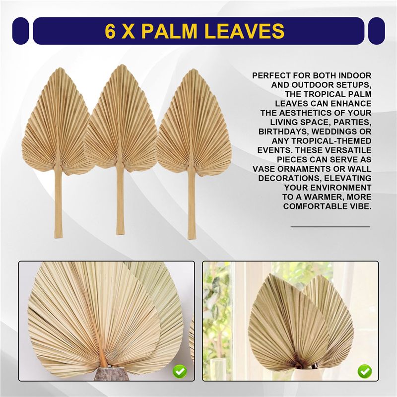 ABKO-6PCS Feuilles de palmier  - Palm Leaf Dried avis et prix