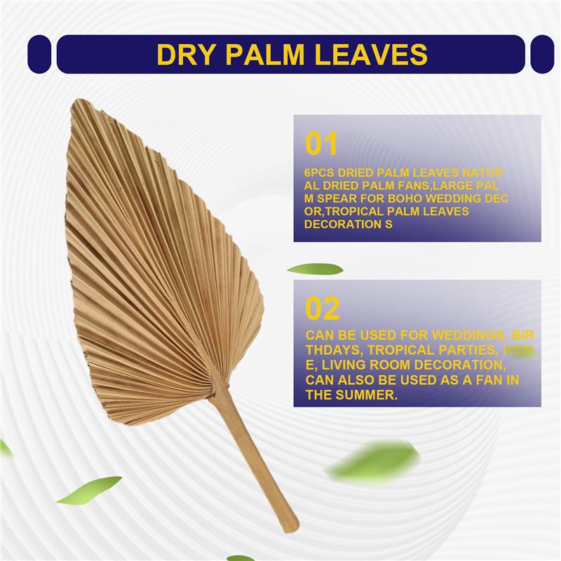 ABKO-6PCS Feuilles de palmier  - Palm Leaf Dried avis et prix