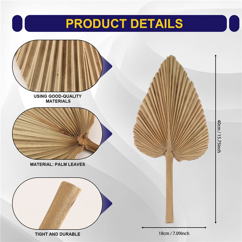ABKO-6PCS Feuilles de palmier  - Palm Leaf Dried avis et prix