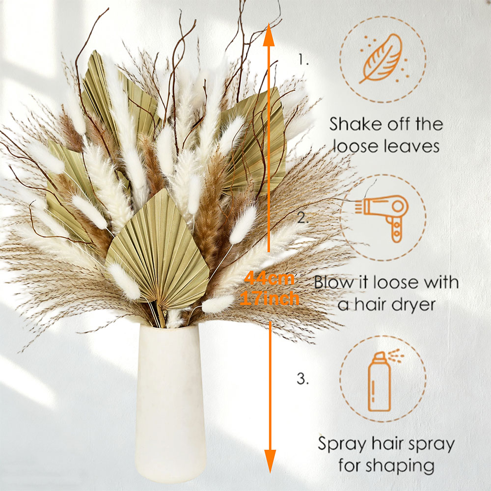 Bouquet de feuilles de palmier - Palm Leaf Dried avis et prix