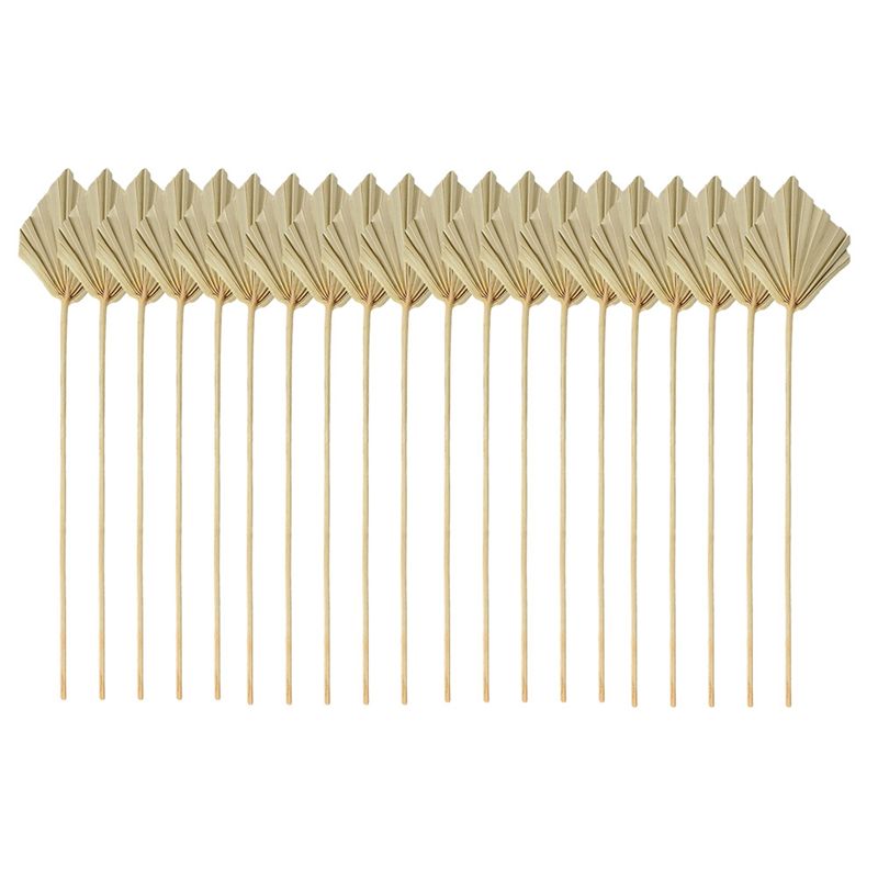 HLZS-Boho Petites feuilles de  - Palm Leaf Dried avis et prix