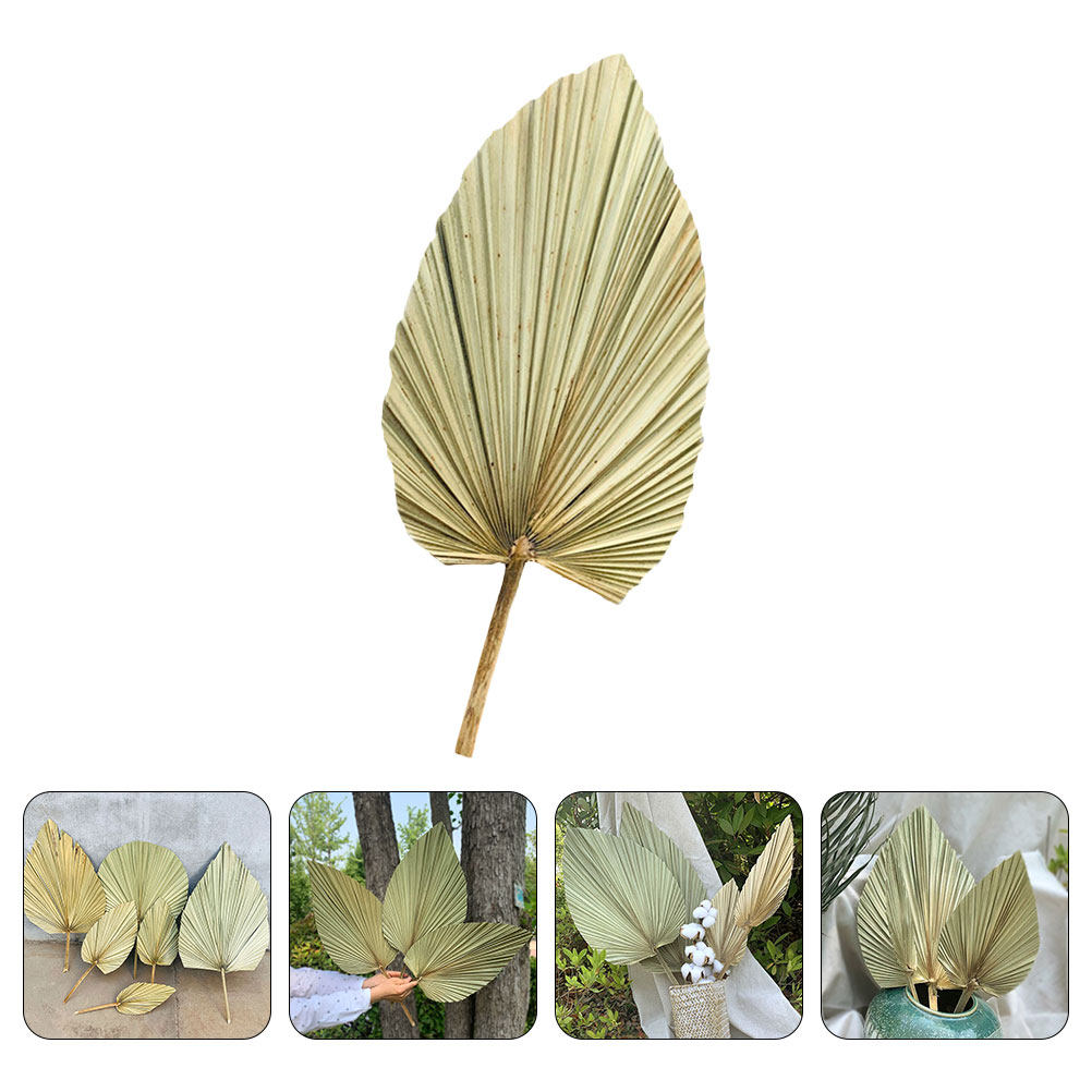 1 pièce de feuille de palmier  - Palm Leaf Dried avis et prix